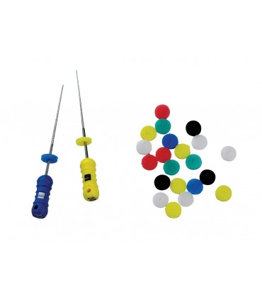 اندو استاپ تکسان