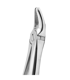 فورسپس پر مولر-دنا پویا