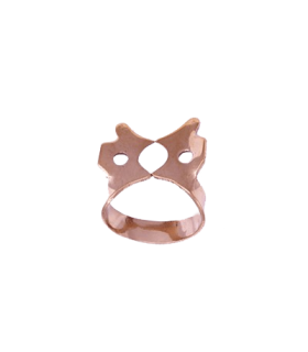 کلمپ مولر - دنا پویا