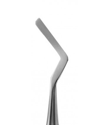 اسپاتول|اسپاتول دهانی برند دنا پویا