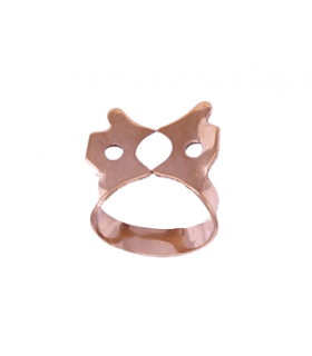 کلمپ پر مولر - دنا پویا