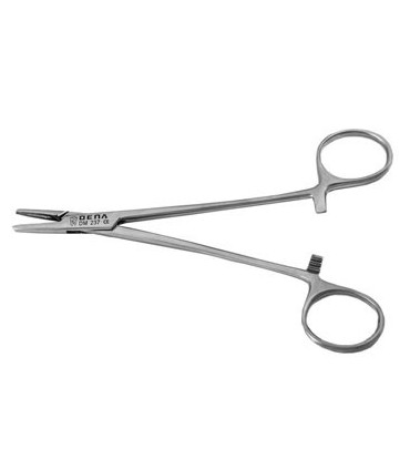 سوزن گیر - دنا پویا