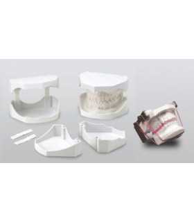 کست سفید ارتودنسی - تکسان