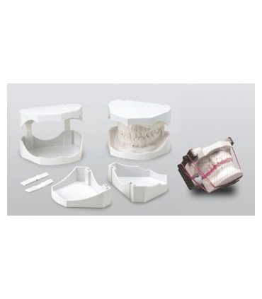 عمومی قالبگیری|کست سفید ارتودنسی - تکسان