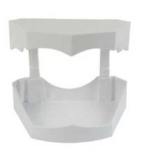 کست سفید ارتودنسی - تکسان