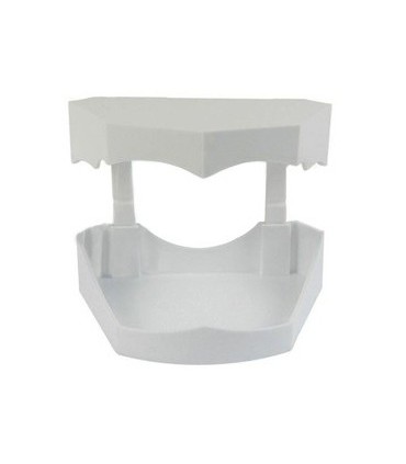 عمومی قالبگیری|کست سفید ارتودنسی - تکسان