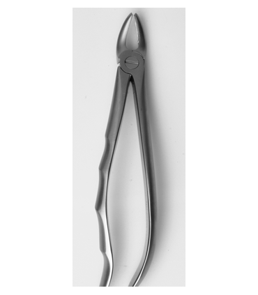 فورسپس|فورسپس آناتومیک - دنا پویا