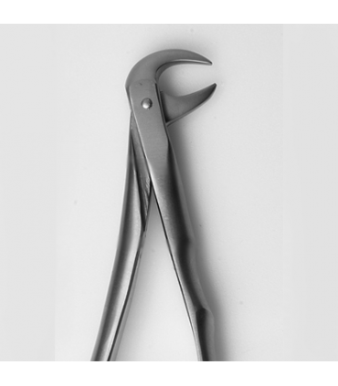 فورسپس|فورسپس آناتومیک - دنا پویا