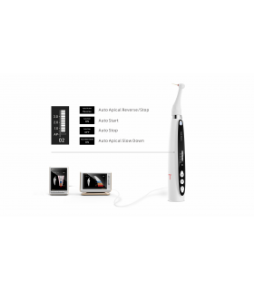 میکروموتور بی سیم WOODPECKER - ENDO SMART PLUS