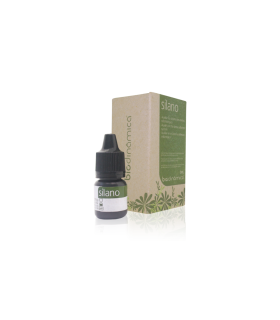 پرایمر سرامیک بیودنمیکا -Biodinamica