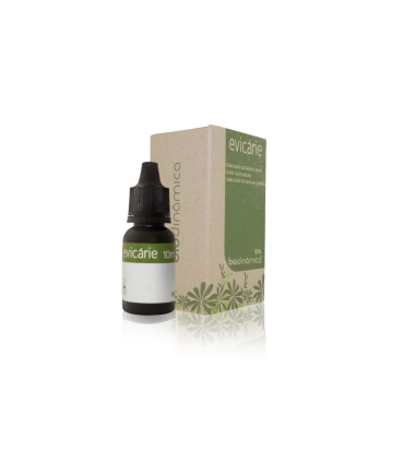 مواد ترمیمی|نشانگر پوسیدگی Biodinamica EVICARIE