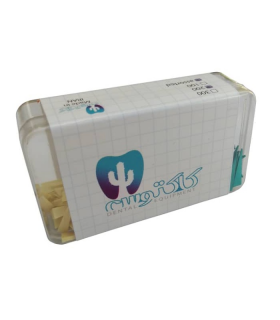 وج چوبی دندانپزشکی کاکتوس 300 عددی