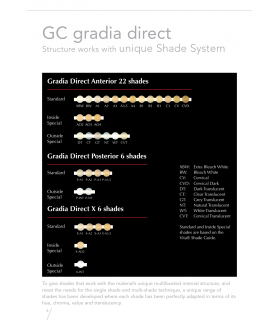 کامپوزیت قدامی گرادیا دایرکت - GC