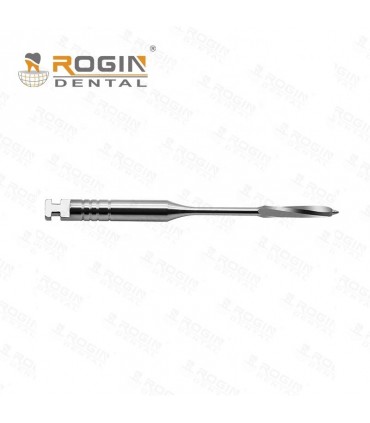 گیتس و پیزو|پیزو ریمر روژین - Rogin