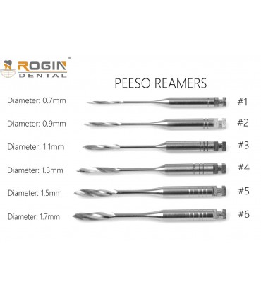 گیتس و پیزو|پیزو ریمر روژین - Rogin