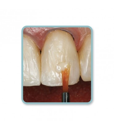 سایر ابزار ترمیمی|قلم موی کامپوزیت COSMEDENT - Brush