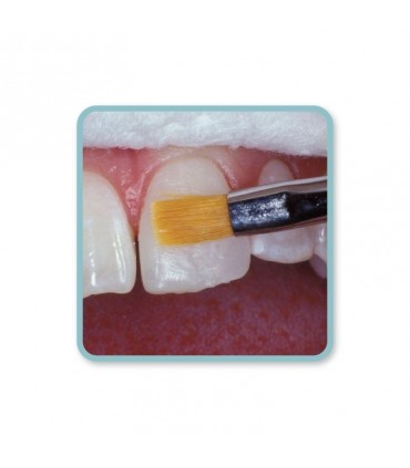 سایر ابزار ترمیمی|قلم موی کامپوزیت COSMEDENT - Brush