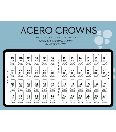 اس اس کراون|اس اس کروان پری مولار دندان پایین ACERO SS CROWNS Premolar