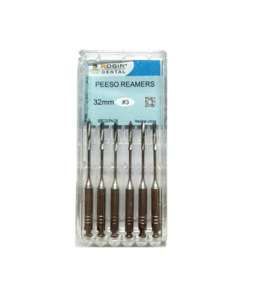 گیتس و پیزو|پیزو ریمر روژین - Rogin