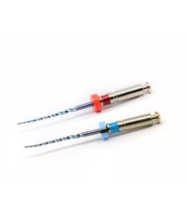 فایل روتاری اطفال Rogin Medical - Kids Files