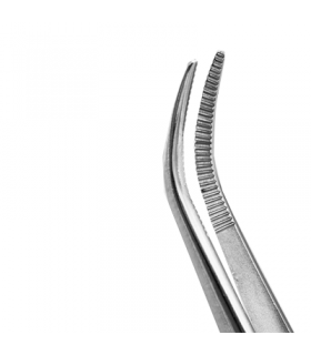 پنس کوچک پری - دنا پویا