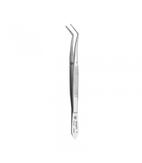 پنس کوچک پری - دنا پویا